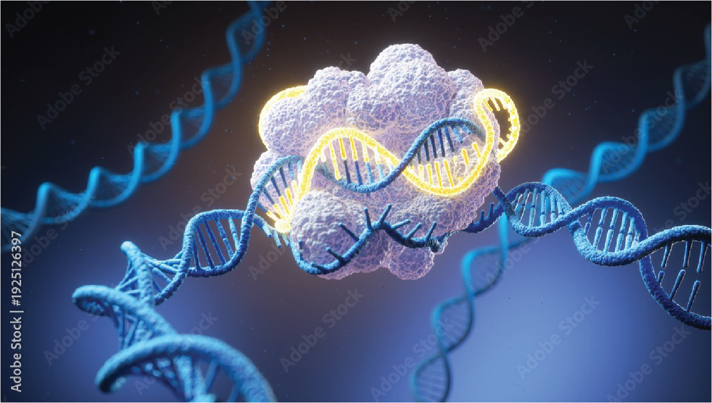 Confluence Genetics launched its Cas-CLEAR CRISPR oncology platform